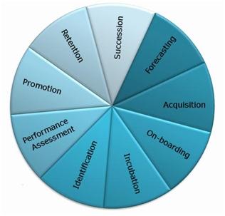 Talent Wheel - A simple model for Talent Management Activities